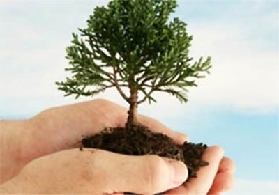 تصویر از سرشماری اینترنتی و آمار جالب سازمان حفاظت محیط زیست