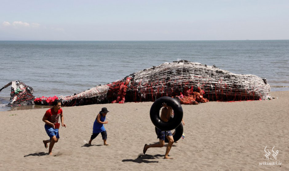 تصویر از ساخت مجسمه نهنگ مرده در فیلیپین برای آگاهی بخشی درباره زباله های پلاستیکی