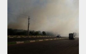 تصویر از آتش سوزی در نیزارهای قرچک