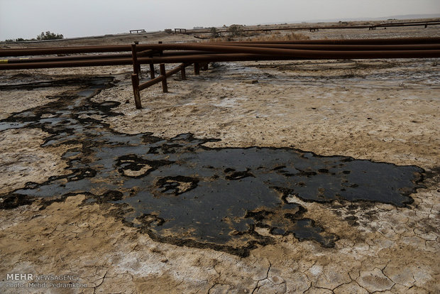تصویر از نشت نفت در اراضی کشاورزی منطقه دارخوین شادگان