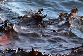 تصویر از آلودگی نفتی گسترده در سواحل بندر ماهشهر