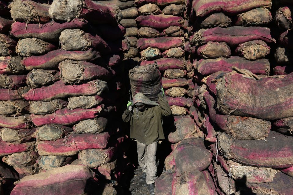 تصویر از فعالان محیط زیست به دنبال توقف صادرات زغال از پاراگوئه