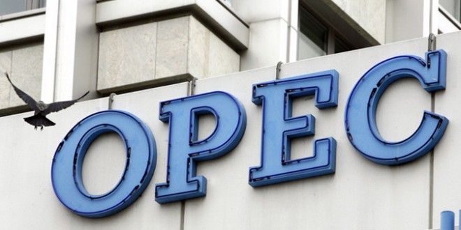 تصویر از امیدواری امارات به اجماع همگانی اوپک