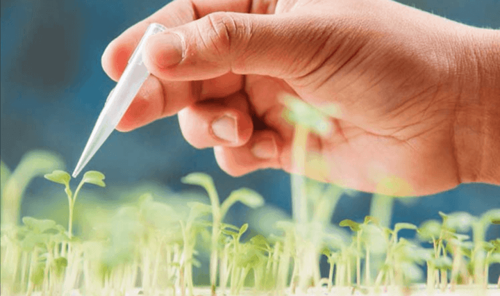 تصویر از کاهش مصرف آب کشاورزی با نانو