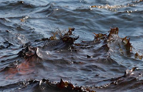 تصویر از آلودگی نفتی و پساب‌های صنعتی تهدید جدی دریای خزر