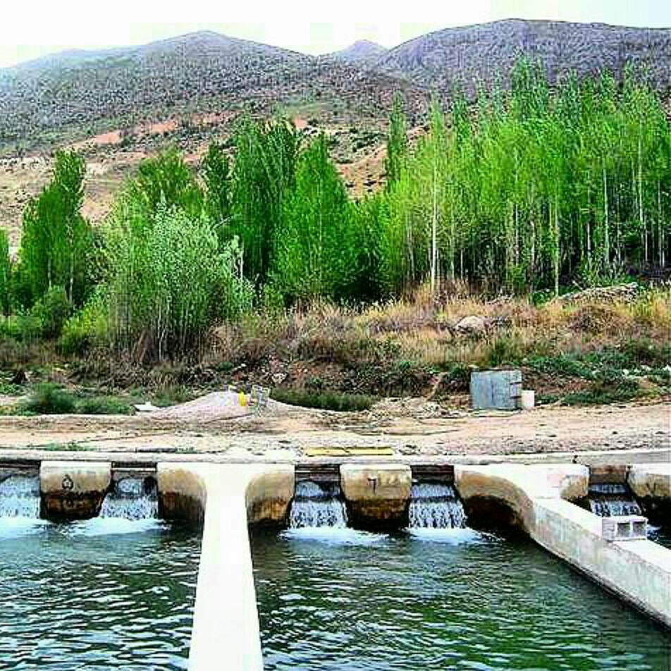 تصویر از انتقال آب ونک به باغات پسته رفسنجان