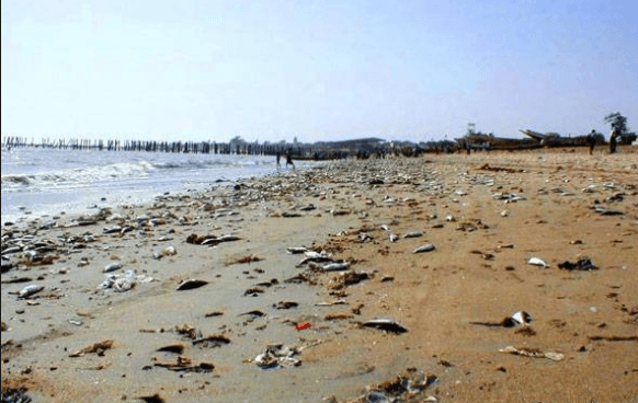 تصویر از خزر به سرنوشت دریاچه ارومیه دچار می شود