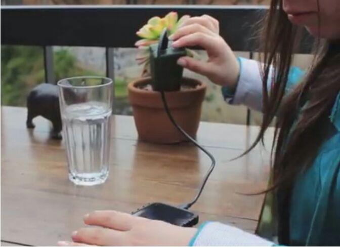 تصویر از شارژ موبایل با استفاده از انرژی گیاهان+فیلم