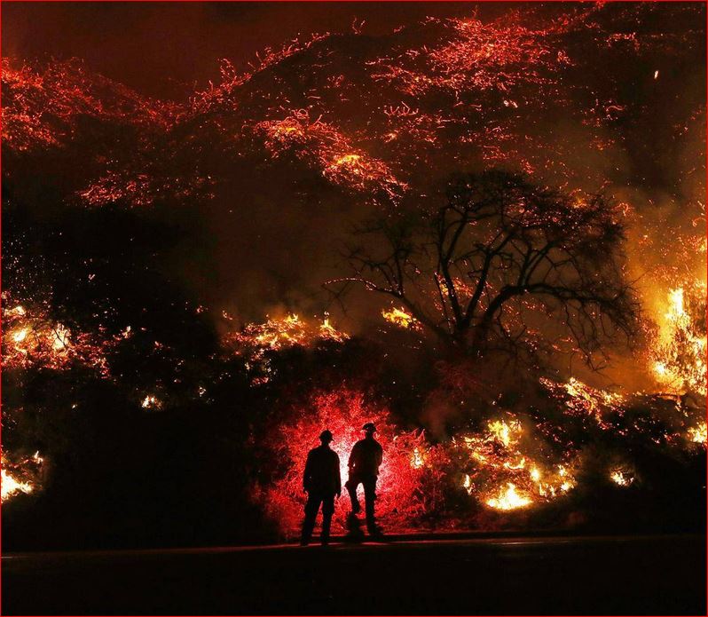 تصویر از تغییرات اقلیم مانع بازیابی جنگل‌ها بعد از آتش‌سوزی