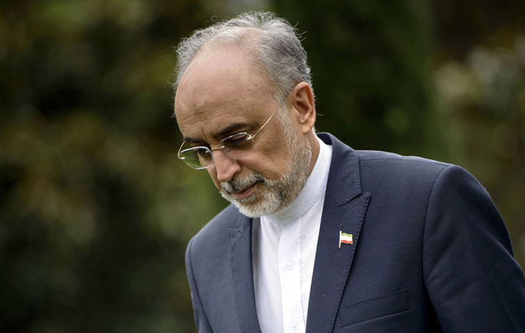 تصویر از انگلیس راکتور آب سنگین اراک را بازسازی می کند