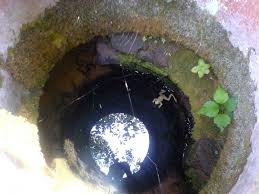 تصویر از آب مازندران به ته دیگ رسیده!