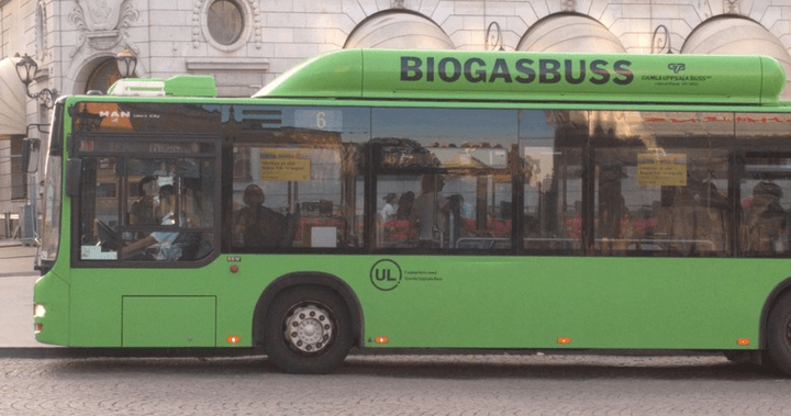 تصویر از گاوها منبع جدید انرژی در کالیفرنیا