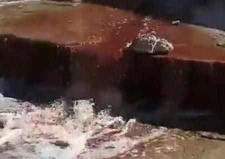 تصویر از رودخانه مراوه‌تپه را نفت آلوده نکرده