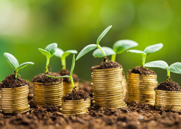 تصویر از جریمه‌ها به صندوق محیط زیست واریز نشده