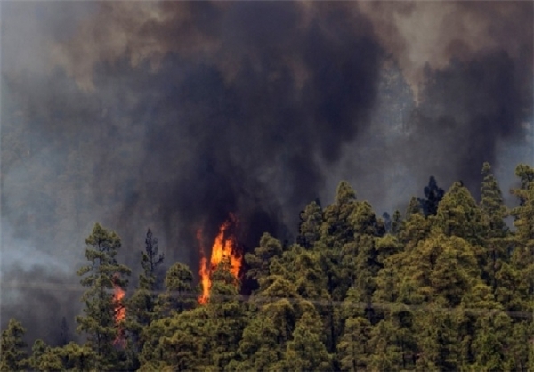 تصویر از اطفاء حریق جنگل‌های گیلان ادامه دارد