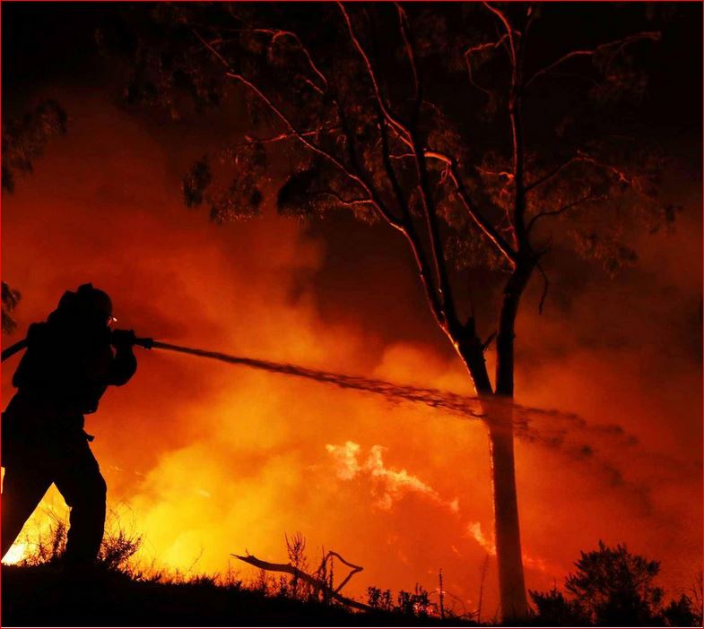 تصویر از آتش سوزی 35 هکتار اراضی حفاظت شده جهان نمای کردکوی