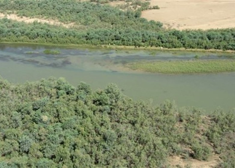 تصویر از کاهش دبی کرخه تهدیدی برای محیط زیست است