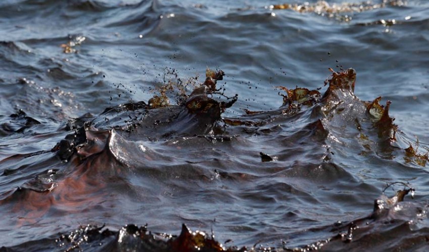 تصویر از 3 طرح در حوزه مواد جاذب آلودگی‌های نفتی برگزیده شد