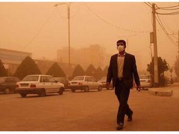 تصویر از بازدید مدیر ستاد ملی گردو غبار از کانون‌های گردوغبار بوشهر