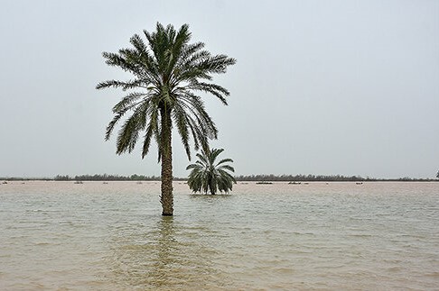 تصویر از دریافت ۴۷ میلی‌متر بارش در کشور طی دو هفته