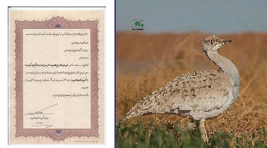 تصویر از ایمن‌ سازی شبکه برق خور و بیابانک استان اصفهان در مقابل برخورد پرندگان