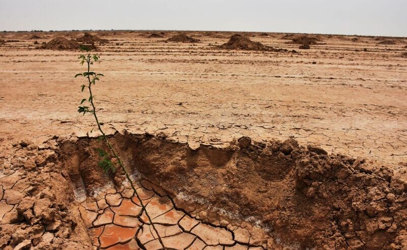 تصویر از ارائه برنامه عمل کانون‌ های بحرانی گرد و خاک