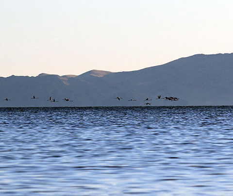 تصویر از تراز دریاچه ارومیه نسبت به پارسال بیش از یک متر بالاتر است