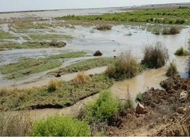 تصویر از مشارکت مناطق نفت‎خیز جنوب در تخلیه آب مزارع روستاهای سوسنگرد