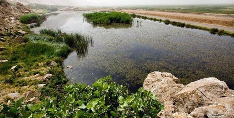 تصویر از امیدواریم شاهد خشک شدن تالاب هشیلان نباشیم