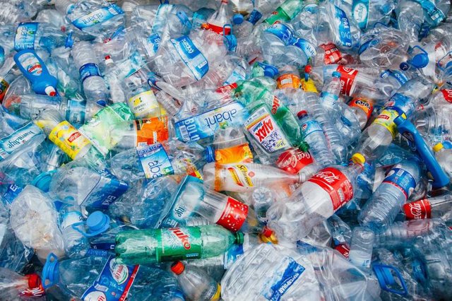 تصویر از تا پایان دهه جاری میلادی هر ساله نیم تریلیون بطری پلاستیکی فروخته می شود