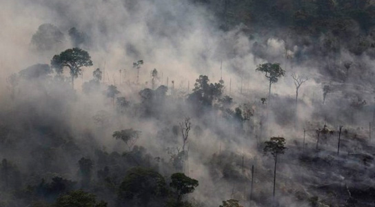 تصویر از افزایش ۸۳ درصدی آتش سوزی های جنگل های آمازون