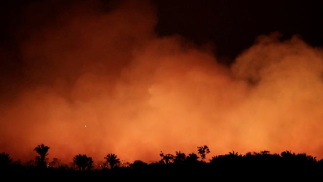 تصویر از ارتش برزیل عازم مقابله با آتش سوزی آمازون شد