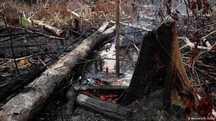 تصویر از ۱۶۶۳ مورد آتش‌سوزی جدید در مناطق آمازون و کمک گروه ۷