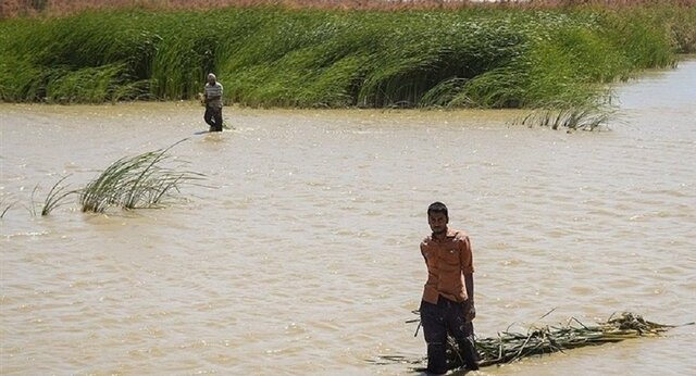 تصویر از بخشی از کانون های گرد و غبار تالاب هامون سیراب شدند