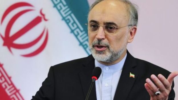 تصویر از صالحی: کاهش تعهدات برجامی ایران قابل برگشت است