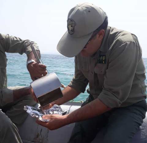 تصویر از هیچ گونه آلودگی نفتی در آبهای جزایر قشم و لارک دیده نشد