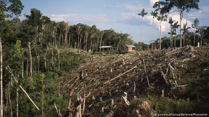 تصویر از از ژانویه تا سپتامبر ۲۰۱۹ ده برابر مساحت نیویورک، جنگل در آمازون از بین رفت