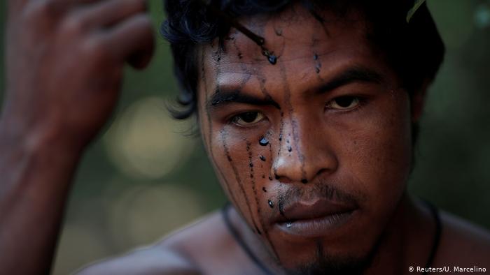 تصویر از قتل فعال حفاظت از جنگل‌های آمازون؛ دولت برزیل در مظان اتهام