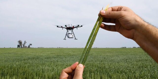 تصویر از استفاده کشاورزان از هوش مصنوعی برای شناسایی آفات گیاهان