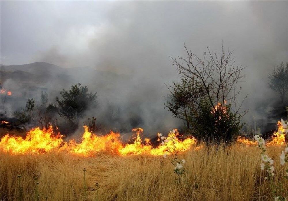 تصویر از کشاورزان خوزستان از سوزاندن مزارع خودداری کنند