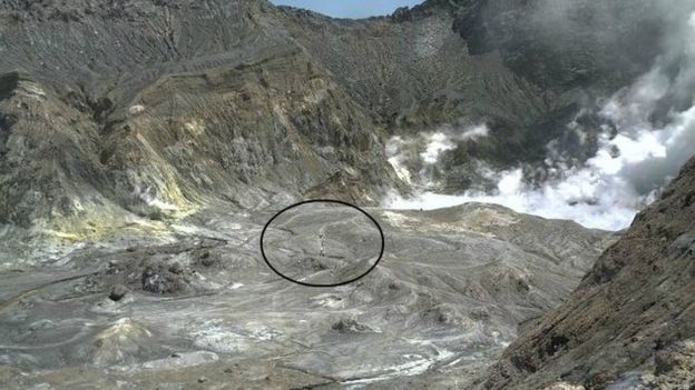 تصویر از 50 گردشگر پس فوران آتشفشانی در نیوزیلند مفقود شدند
