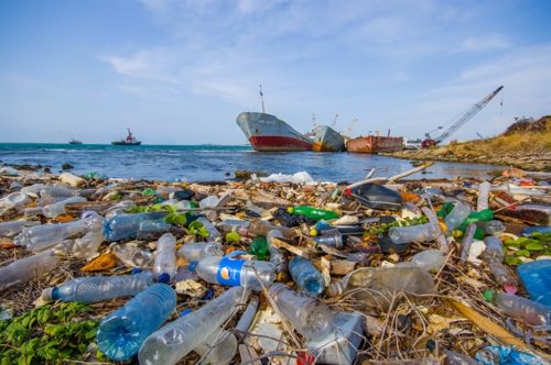 تصویر از پروژه‌ گلولیتر؛ دستور کار «آیمو» برای جلوگیری از ریختن زباله‌های پلاستیکی به دریا