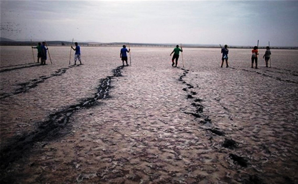 تصویر از ۲۷ هزار متر مربع اراضی زیست محیطی به عرصه بختگان بازگشت