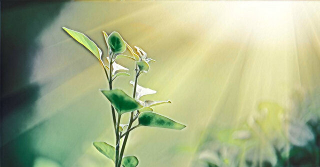 تصویر از استفاده از نور برای تبدیل دی ‌اکسید کربن به سوخت