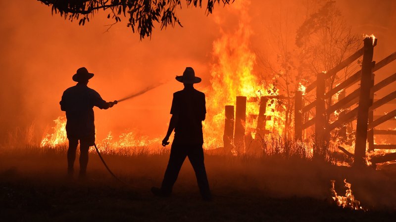تصویر از زندگی در فصل آتش‌سوزی؛ استرالیا یک قاره خاکستری شد