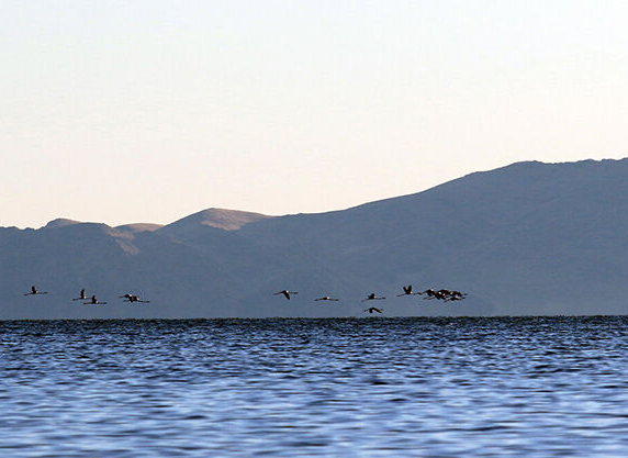 تصویر از تراز دریاچه ارومیه ۶۰ سانتیمتر افزایش یافت