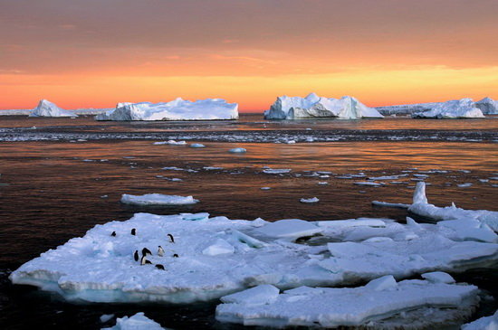 تصویر از آب شدن یخچال‌ ها در قطب جنوب جزیره کشف نشده‌ ای را آشکار کرد