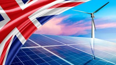 تصویر از زمستان گذشته سبزترین زمستان انگلیس