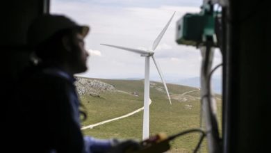 تصویر از ایجاد 12000 شغل توسط انرژی های تجدید پذیر