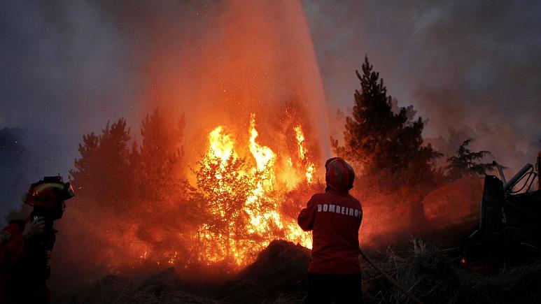 تصویر از صدها آتش‌نشان برای اطفای حریق جنگلی در پرتغال بسیج شدند